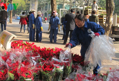 Hanoi welcomes Lunar New Year holiday - ảnh 5